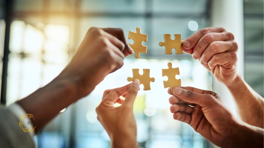 Người có số vốn góp cao nhất là gì và 3 năm miễn thuế