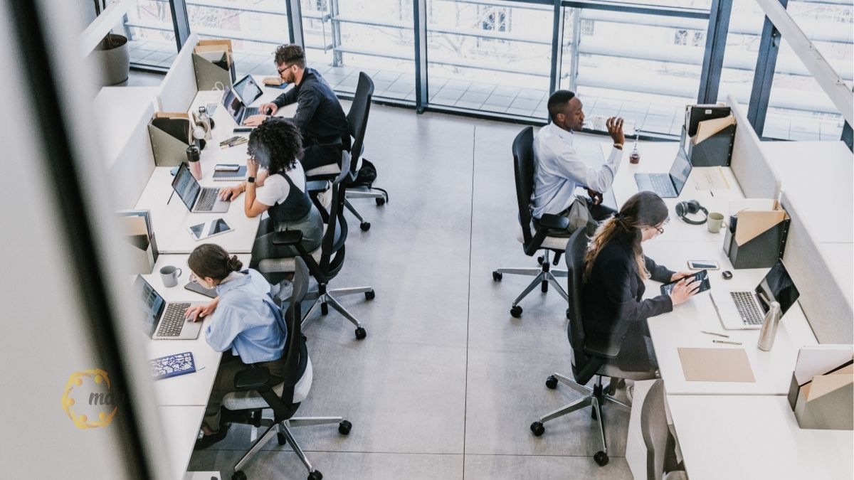 Quy trình làm giấy phép lao động cho người nước ngoài chuẩn xác