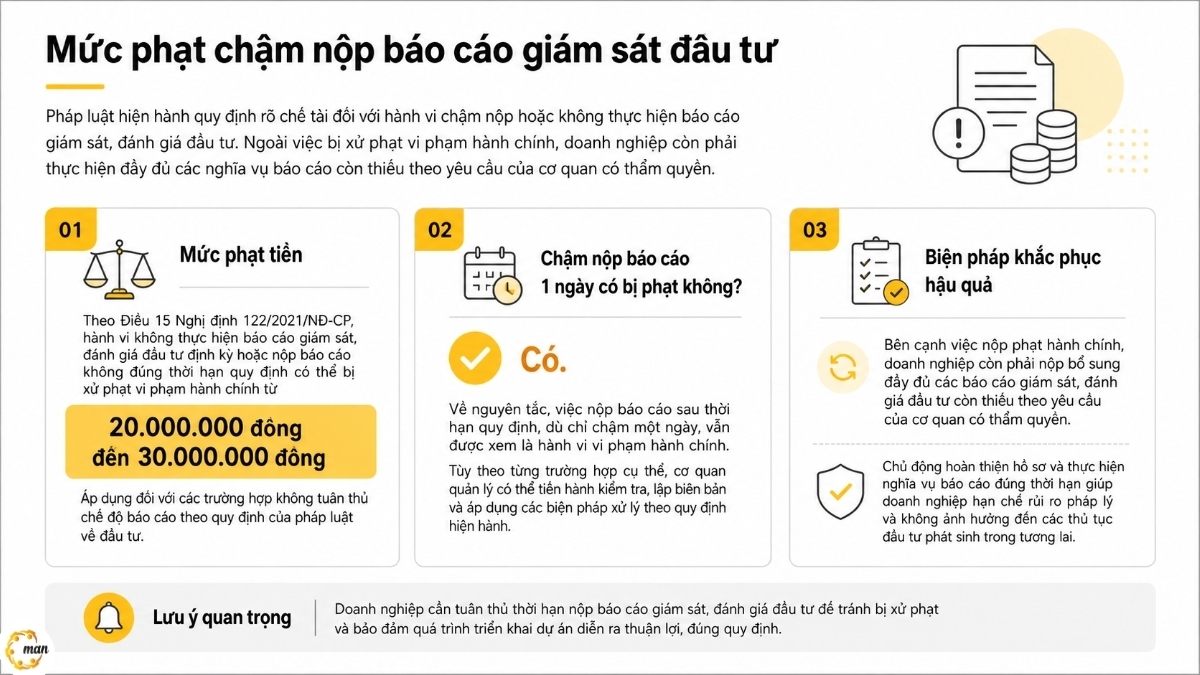 Mức phạt chậm nộp báo cáo giám sát đầu tư