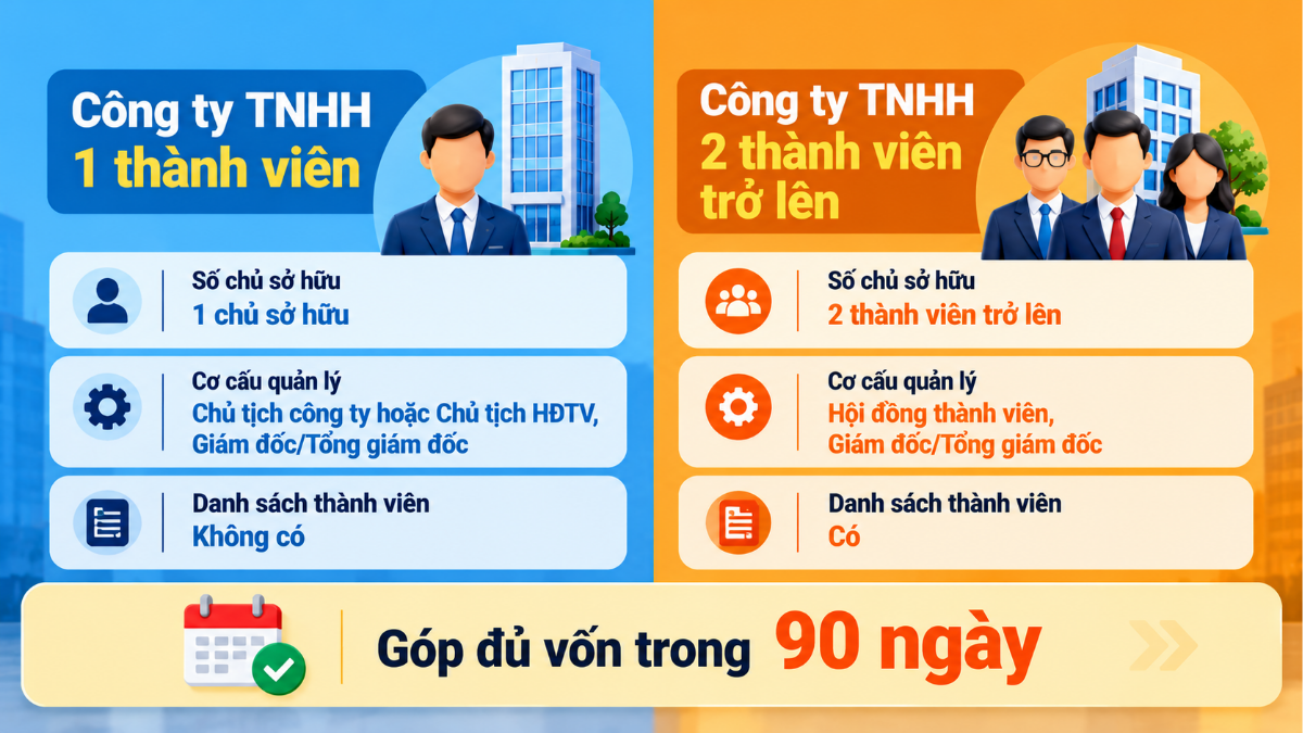 So sánh công ty TNHH một thành viên và hai thành viên trở lên về chủ sở hữu, cơ cấu quản lý và hồ sơ